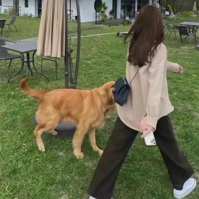 王牌调酒师